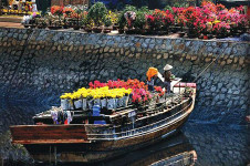 Binh Dong flower floating market thumb image - Travel to Ho Chi Minh City