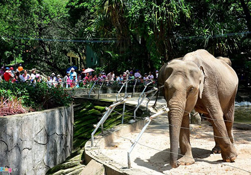 Saigon Zoo and Botanical Gardens - Ho Chi Minh City tours