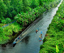 Boat trip to discover U Minh Ha National Park - Tour in Mekong Delta Vietnam