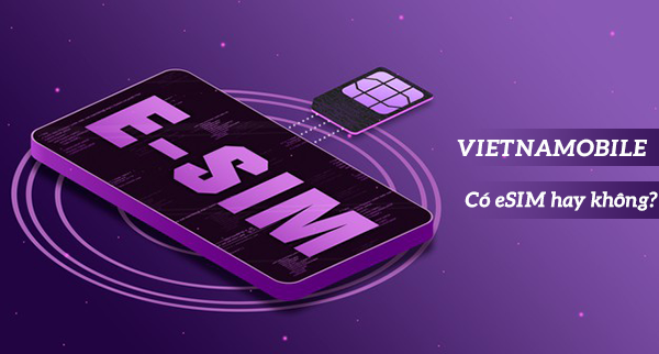 The Top eSIM Providers for Travelers Visiting Vietnam